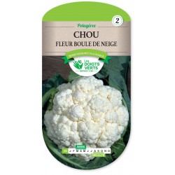 CHOU-FLEUR BOULE DE NEIGE -...