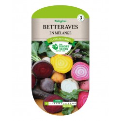 BETTERAVES EN MÉLANGE -...
