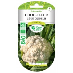 CHOU-FLEUR GÉANT DE NAPLES...