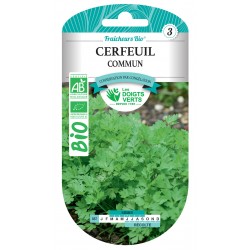 CERFEUIL COMMUN BIO -...