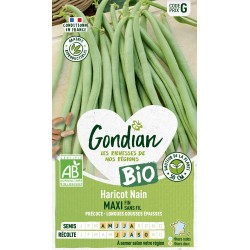 HARICOT MAXI BIO - GONDIAN