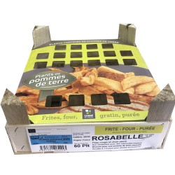 CLAYETTE POMME DE TERRE 60...