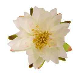 NÉNUPHAR DE DÉCORATION -...