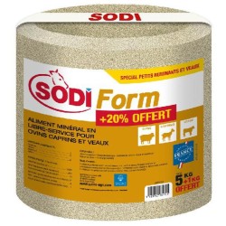 SEL À LÉCHER SODIFORM...