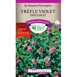 TREFLE VIOLET 100G - LES...