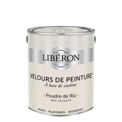 VELOURS DE PEINTURE POUDRE...