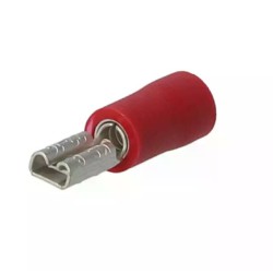 15 COSSES FEMELLES 2.8 ROUGE