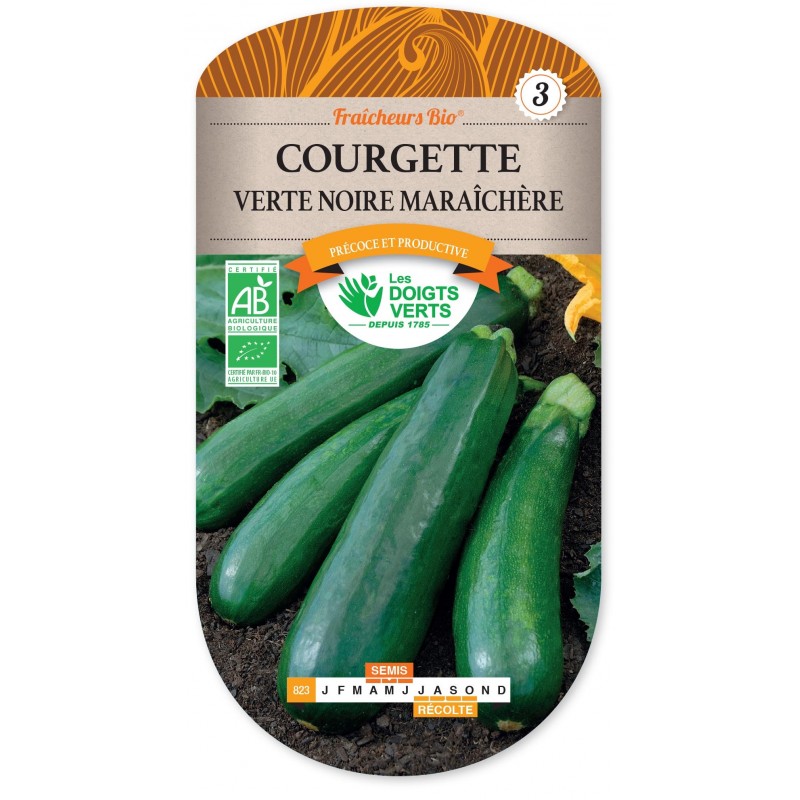 COURGETTE VERTE NOIRE MARAICHERE cat3