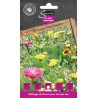 MELANGE DE FLEURS POUR TERRAIN SEC cat2