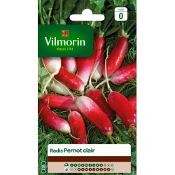 RADIS PERNOT CLAIR - VILMORIN