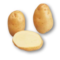 SAC 3KG POMME DE TERRE...