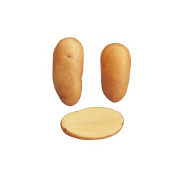 SAC 5KG POMME DE TERRE...