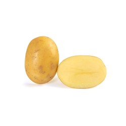 SAC 3KG POMME DE TERRE...