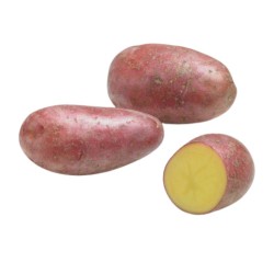 SAC 3KG POMME DE TERRE...