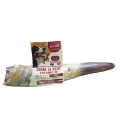 CORNE DE BOEUF AVEC...