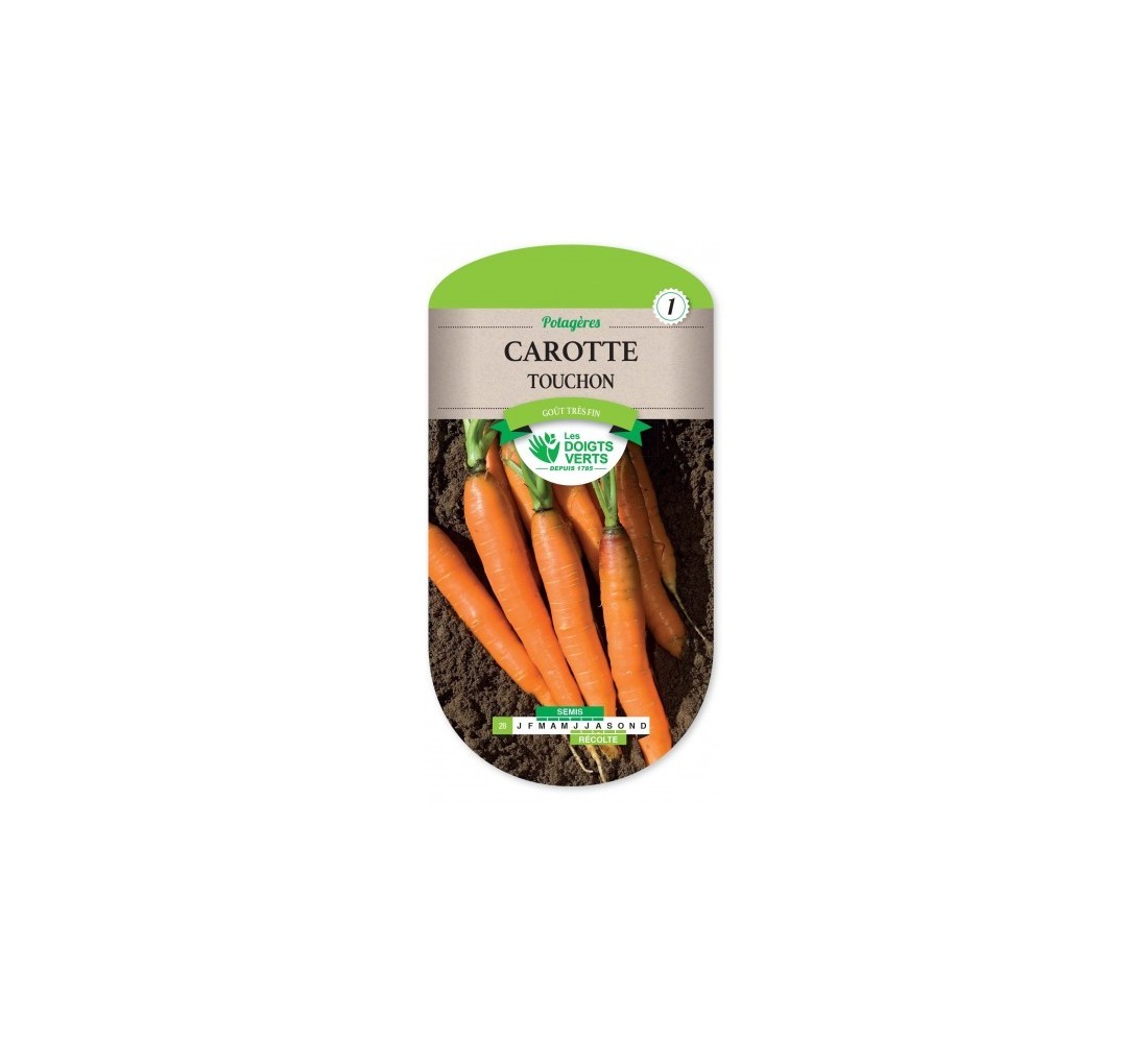 betterave sauvage bette 100 graines graines de blette Flamant Poirée