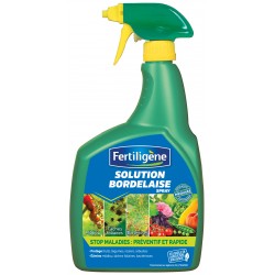 SOLUTION BORDELAISE PAE...