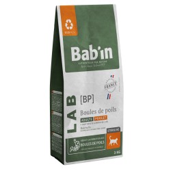 CROQUETTES LAB CHAT...