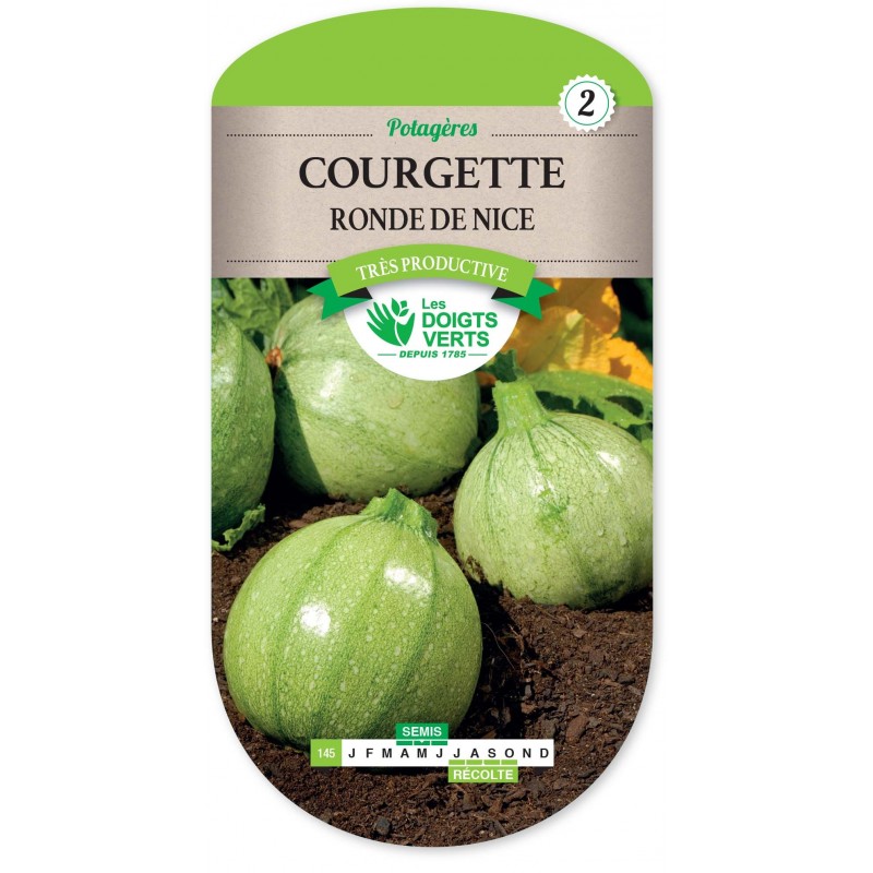 COURGETTE RONDE DE NICE 5 GR  cat2