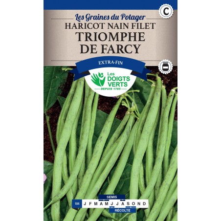 HARICOT NAIN TRIOMPHE DE FARCY 250G CAT C