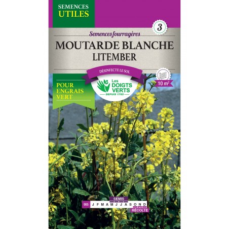 MOUTARDE BLANCHE LITEMBER CAT3 MOUTARDE BLANCHE LITEMBER CAT3