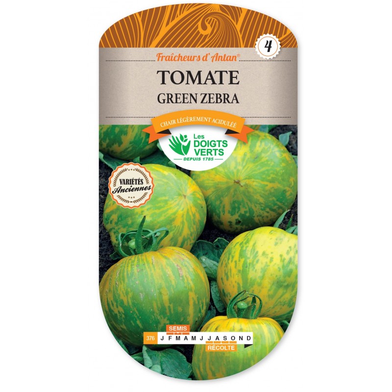 TOMATE GREEN ZEBRA CAT4