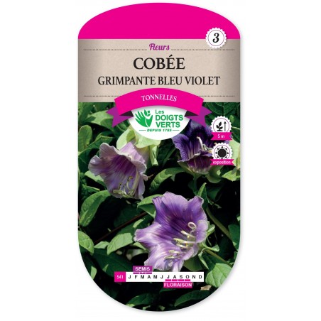 COBEE GRIMPANTE BLEU VIOLET cat3 COBEE GRIMPANTE BLEU VIOLET cat3