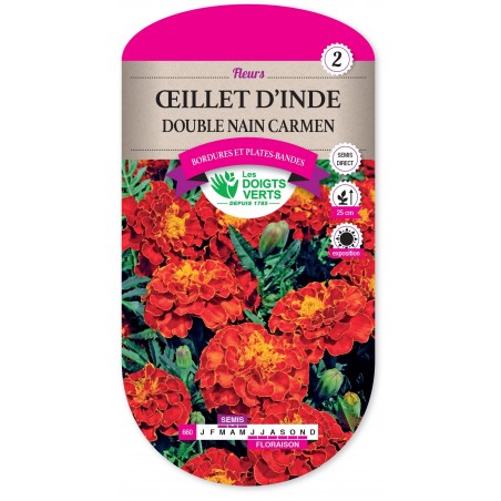 OEILLET D'INDE DOUBLE NAIN CARMEN OEILLET D'INDE DOUBLE NAIN CARMEN