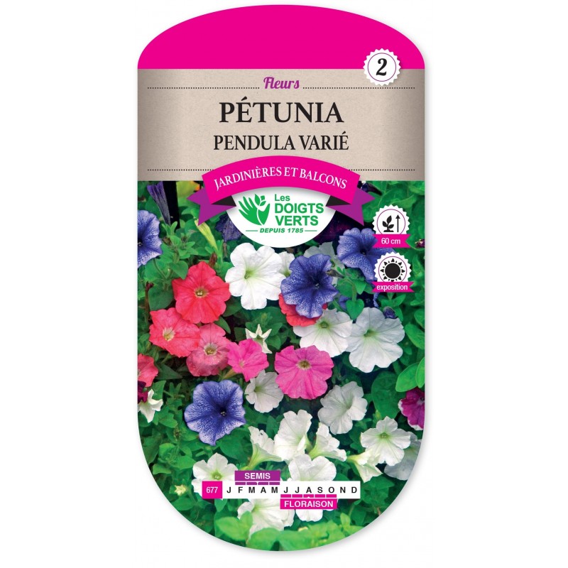 PETUNIA PENDULA VARIE cat2