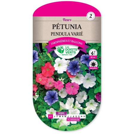 PETUNIA PENDULA VARIE cat2