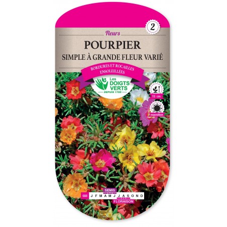 POURPIER SIMPLE A GDE FLEUR VARIE cat2 POURPIER SIMPLE A GDE FLEUR VARIE cat2