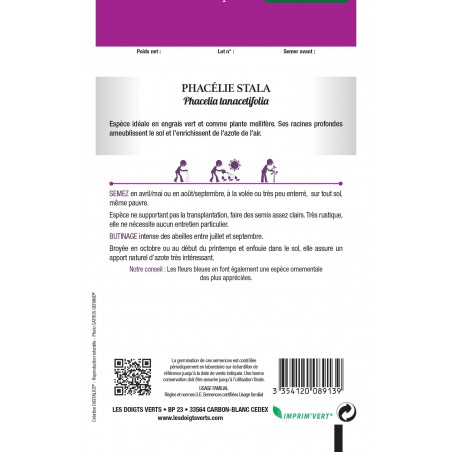 PHACELIA PHACELIA