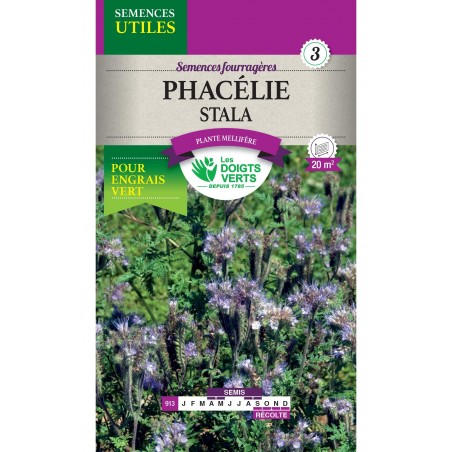 PHACELIA PHACELIA