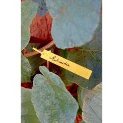 ÉTIQUETTES A SUSPENDRE X40...