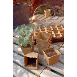 GODETS DE TOURBE X20 6X6CM...