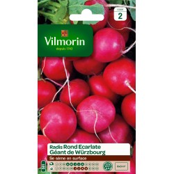 RADIS ROND GÉANT WÜRZBOURG...