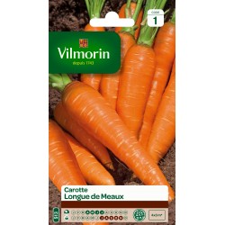 CAROTTE LONGUE DE MEAUX -...