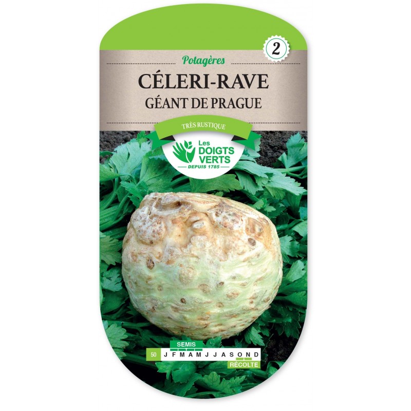 CELERI RAVE GEANT DE PRAGUE CELERI RAVE GEANT DE PRAGUE