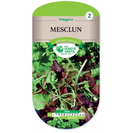 MESCLUM MELANGE SALADE cat2 MESCLUM MELANGE SALADE cat2