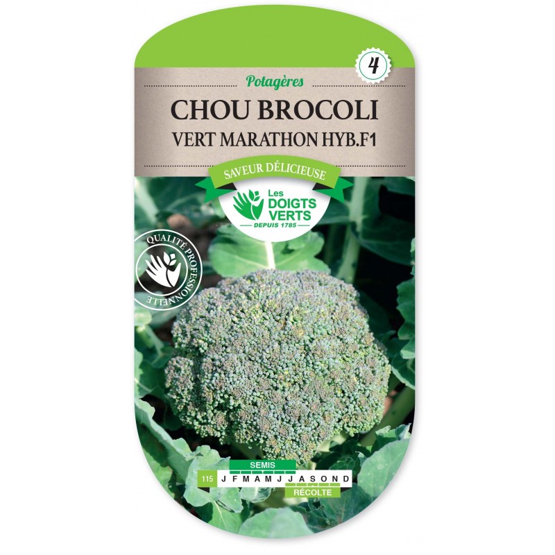 CHOU BROCOLI VERT MARATHON HYB. F1 CHOU BROCOLI VERT MARATHON HYB. F1