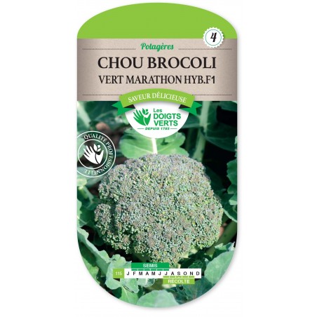 CHOU BROCOLI VERT MARATHON HYB. F1 CHOU BROCOLI VERT MARATHON HYB. F1