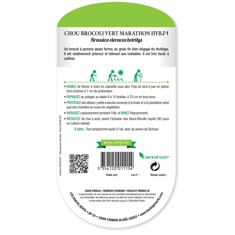 CHOU BROCOLI VERT MARATHON HYB. F1 CHOU BROCOLI VERT MARATHON HYB. F1