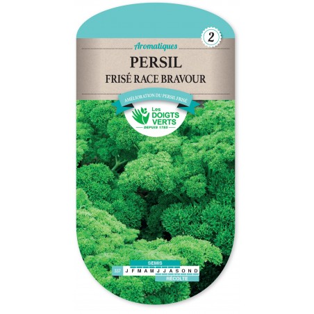 PERSIL FRISE RACE BRAVOUR CAT2 PERSIL FRISE RACE BRAVOUR CAT2