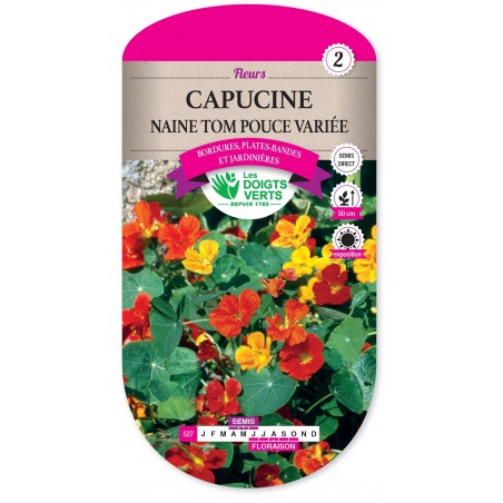 CAPUCINE NAINE TOM POUCE VARIE cat2 CAPUCINE NAINE TOM POUCE VARIE cat2