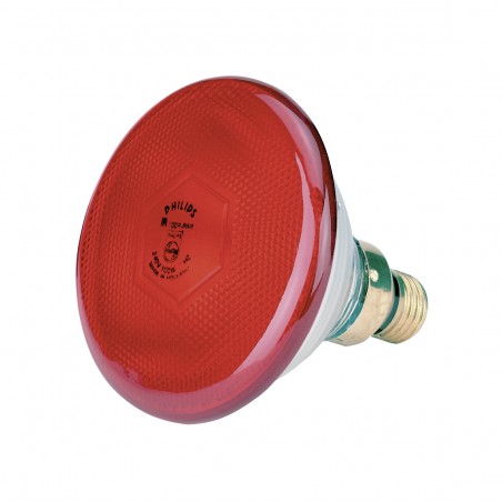 Lampe infrarouge économique Philips 
