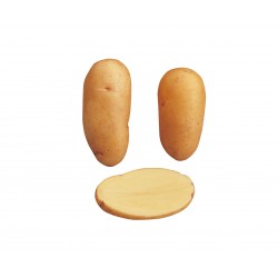 SAC POMMES DE TERRE...