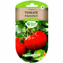 TOMATE PYROS HYBRIDE F1 -...