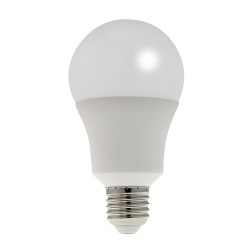 Boite de 2 ampoules LED SMD...