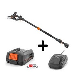 SCIE DE JARDIN SUR PERCHE...