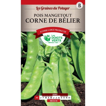 POIS MANGETOUT CORNE DE BELIER 250GR catB POIS MANGETOUT CORNE DE BELIER 250GR catB